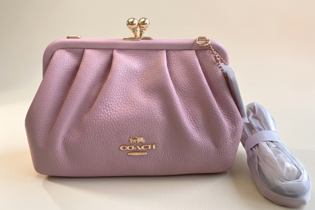 Coach Kisslock Nora  Frame Bag 16